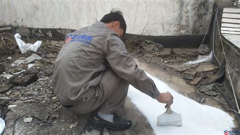 陽光房頂漏水怎么徹底補救(陽光房頂玻璃縫漏水如何修復)縮略圖