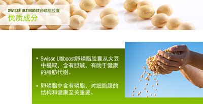 卵磷脂的功效與作用及禁忌(卵磷脂的功效與作用及禁忌癥)縮略圖