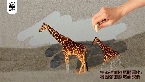 袍子是保護動物,狍子是保護動物嗎縮略圖