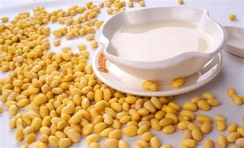 維維豆奶粉喝了發胖嗎,豆漿減肥法10天瘦10縮略圖