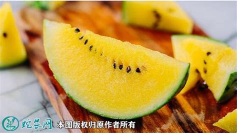 特小鳳西瓜為什么叫特小鳳,特小鳳是什么西瓜縮略圖