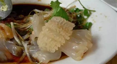 海蜇頭怎么保存不會壞,海蜇頭怎么保存不爛縮略圖
