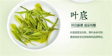 安吉白茶2023年新茶價格表(安吉白茶2023年新茶價格表木盒裝)縮略圖