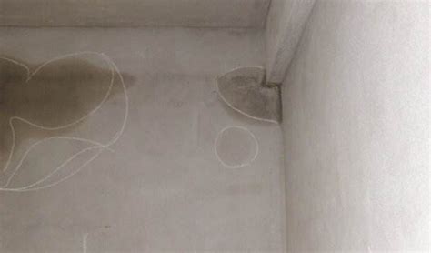 墻面滲水最佳補漏方法,室內墻面滲水最佳補漏方法縮略圖