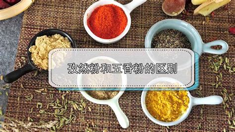 五香粉的做法和配料(五香粉的正宗做法配方)縮略圖