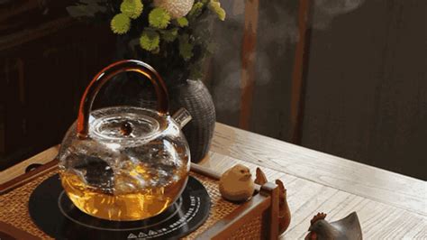 養生壺煮茶的正確方法,養生壺煮茶的正確方法是縮略圖