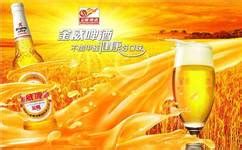 金威啤酒還有生產嗎,金威啤酒哪里生產的縮略圖