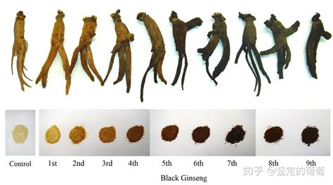 高麗參的功效與作用適合人群(高麗參的功效與作用和禁忌)縮略圖
