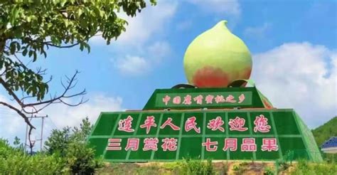 鷹嘴桃產地哪里最好吃,鷹嘴桃產地哪里最好吃又甜縮略圖