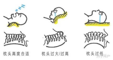 枕頭多高合適(枕頭多高合適 成人)縮略圖