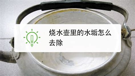 水壺里面的水垢怎樣清除干凈(水壺里的水垢怎樣才能清除)縮略圖
