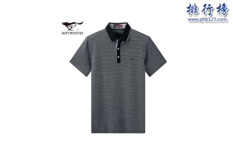 短袖品牌排行榜前十名(男士短袖品牌排行榜前十名)縮略圖