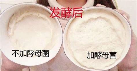 發(fā)酵粉放多了對人身體有害嗎,1斤面粉放幾克安琪干酵母縮略圖