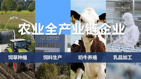 花花牛是國企嗎(花花牛是國企嗎?)縮略圖