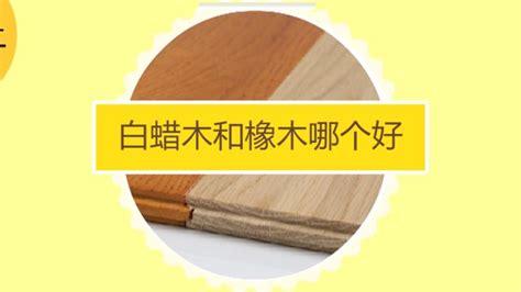 白蠟木和橡木的家具哪個好(白蠟木和橡木的家具哪個好看)縮略圖
