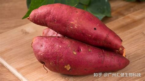 胡蘿卜素主要吸收什么光,胡蘿卜素主要吸收什么光呢縮略圖