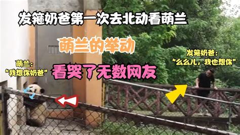 發箍奶爸最新消息(發箍奶爸最新消息曝光)縮略圖