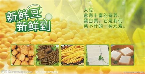 豆制品熱量(豆制品熱量高嗎)縮略圖