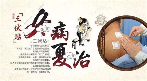 三伏貼貼哪些部位(三伏貼貼哪些部位好)縮略圖