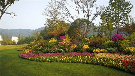 花鏡什么牌子好,老花鏡什么牌子好縮略圖