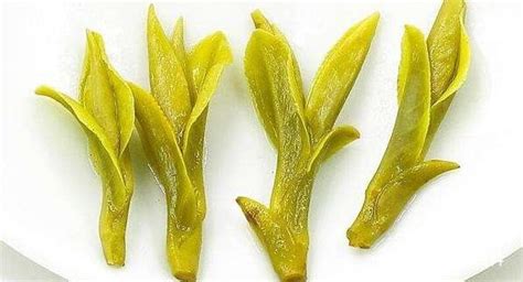 龍井茶葉怎么區分好壞,龍井茶葉怎么區分好壞圖片縮略圖