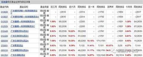 地素屬于什么檔次(地素屬于什么檔次品牌)縮略圖