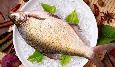 金昌魚是海魚還是淡水魚,金鯧魚為何要少吃縮略圖