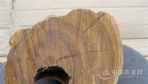 檀香木的價(jià)格(綠檀和芭比檀香木的價(jià)格)縮略圖