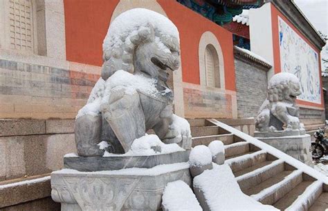 石獅子放門口有什么說法(石獅子放門口有什么說法沒)縮略圖