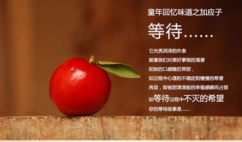 加應子是什么東西(加應子是哪里的特產(chǎn))縮略圖