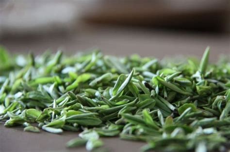 雨花茶沖泡方法(雨花茶沖泡方法視頻)縮略圖