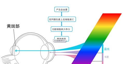 葉黃素對眼睛有什么功效(葉黃素對眼睛有什么功效和作用)縮略圖