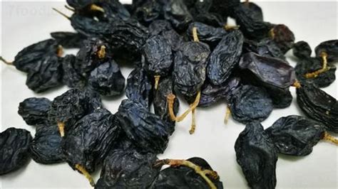黑加侖的功效與作用,黑加侖的功效與作用吃法縮略圖