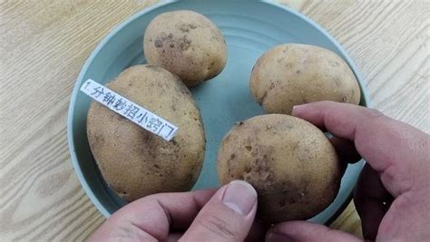 土豆怎樣做菜呀,土豆做菜方法大全縮略圖
