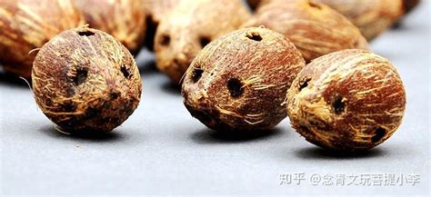 菩提根為啥有五顏六色的(菩提根五顏六色是怎么弄的)縮略圖