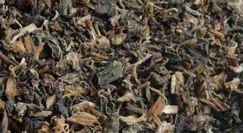 梅干菜怎么泡發,梅干菜怎么泡發得最好縮略圖