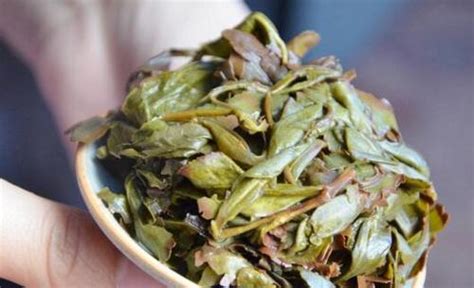 漳平水仙屬于什么茶(漳平水仙屬于什么茶系)縮略圖