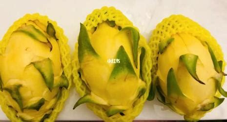 燕窩果的種植方法(燕窩果的種植方法視頻)縮略圖