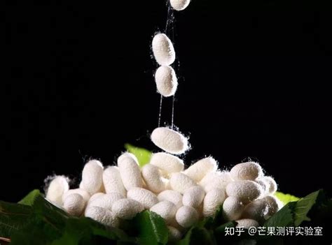 真絲是什么材料(衣服真絲是什么材料)縮略圖