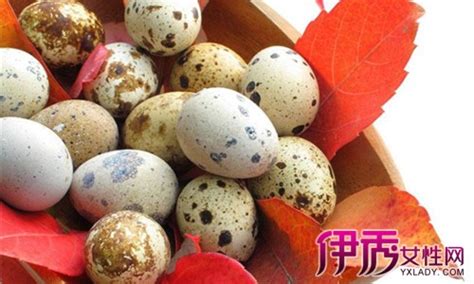 鵪鶉蛋老年人禁忌,鵪鶉蛋一天吃幾個合適縮略圖