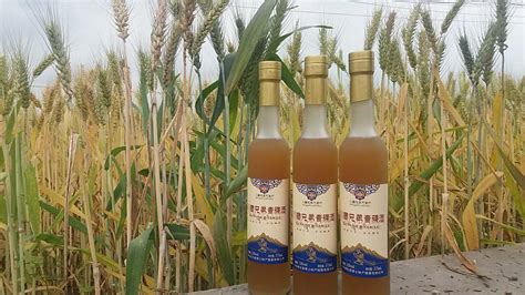 青稞酒是哪個民族的特色飲品(青稞酒是哪里的特產)縮略圖