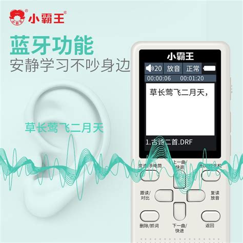 隨身聽英語app,隨身聽英語哪個牌子好縮略圖