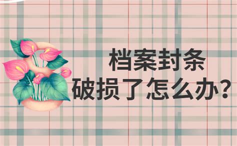 檔案袋破損了怎么辦(檔案袋破損了怎么辦,但沒(méi)看見(jiàn)里面的東西)縮略圖