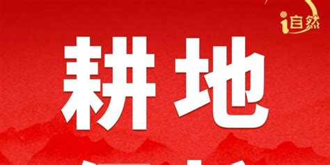 黑土地保護(hù)法,黑土地保護(hù)法實(shí)施時(shí)間縮略圖
