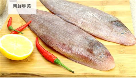 龍利魚是海魚還是淡水魚,龍利魚是海魚還是淡水魚有營養嗎縮略圖