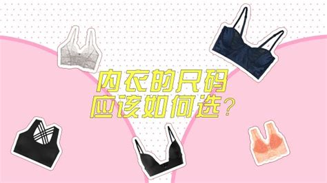 文胸和胸罩有什么區別嗎(文胸和胸罩有什么區別)縮略圖