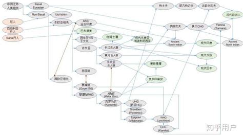 高加索人種(高加索人種主要分布在哪里)縮略圖