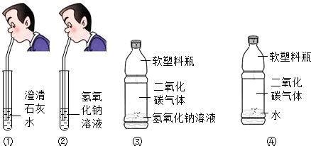 石灰水變渾濁的化學反應方程式,澄清石灰水變渾濁的化學反應方程式縮略圖