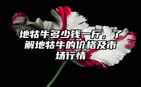 地牯牛植物(地牯牛植物圖片)縮略圖