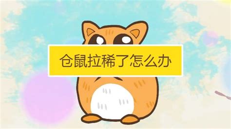 三線倉鼠咬人怎么懲罰,三線倉鼠咬人怎么懲罰視頻縮略圖